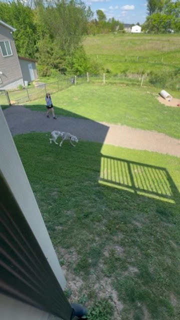 Aerial view of a dog running in the fenced run yard