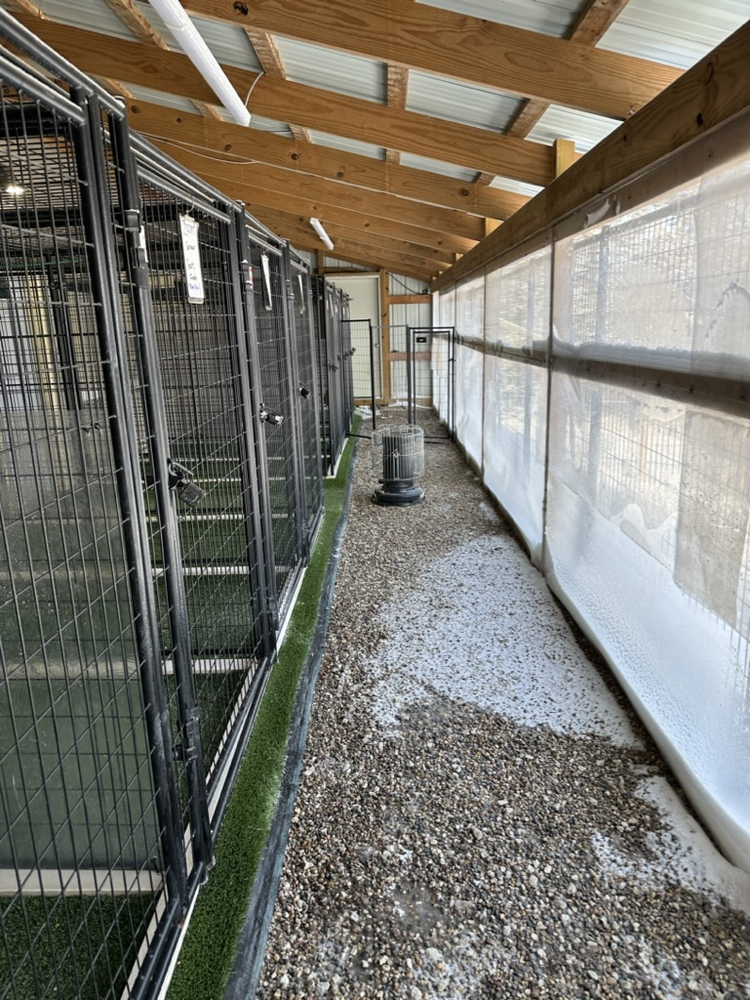 Row of indoor/outdoor boarding kennels