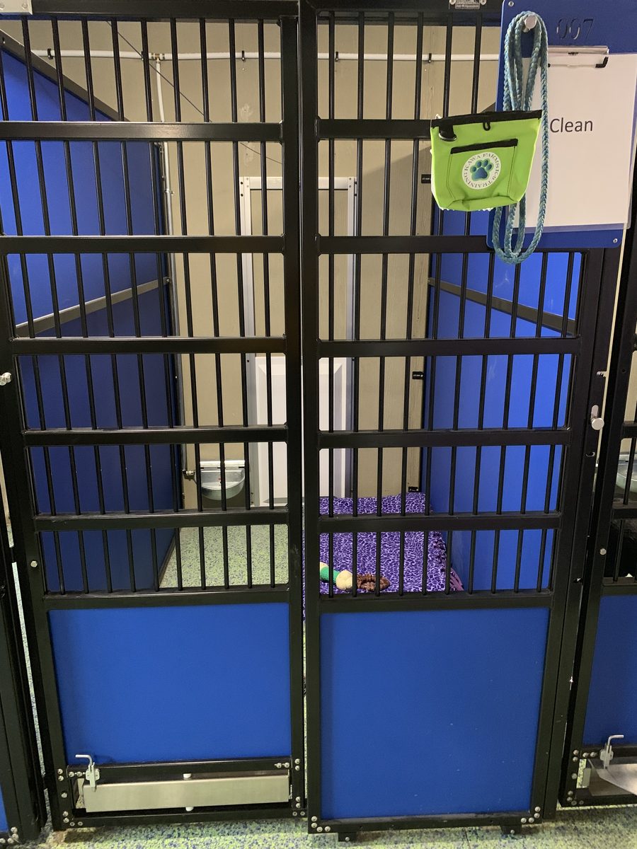 Boarding kennel gate at Kawa Farms