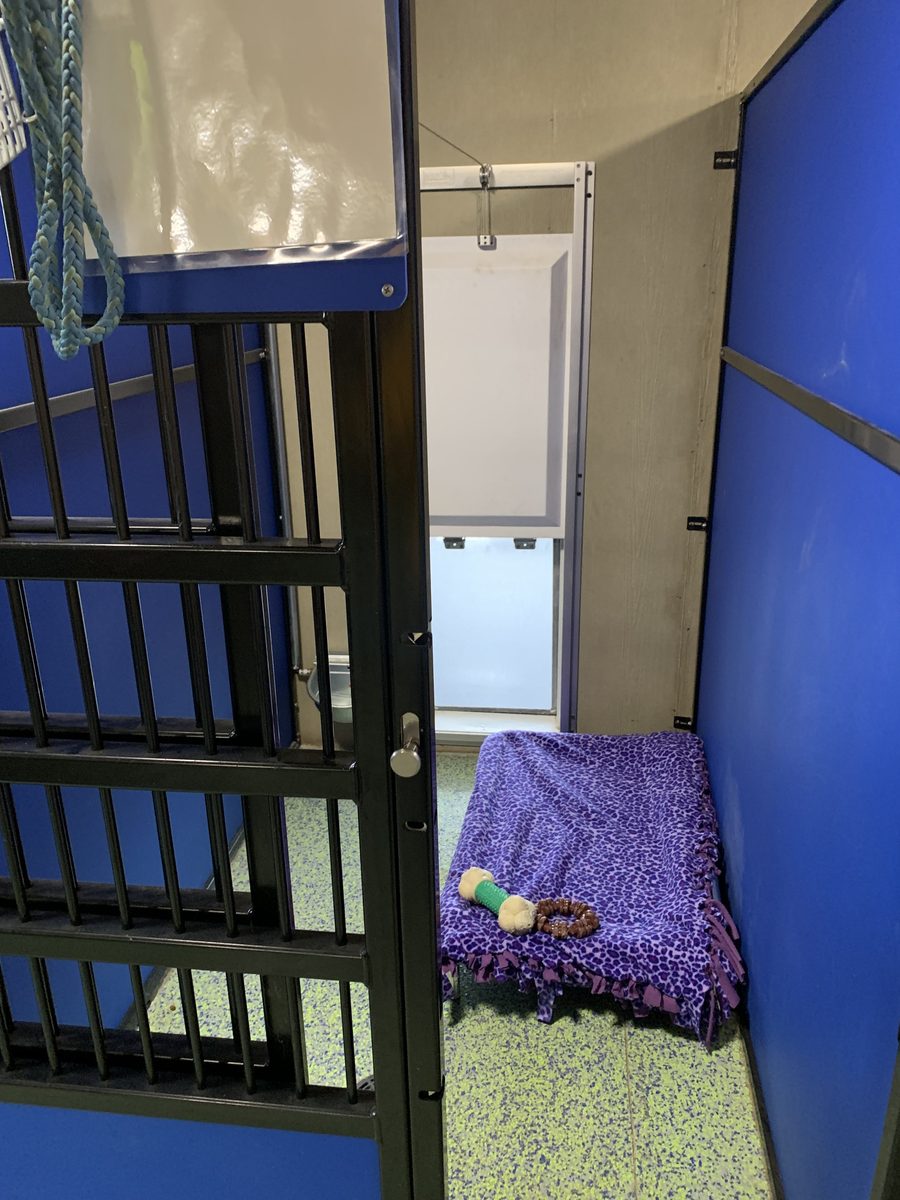 Inside a boarding kennel at Kawa Farms