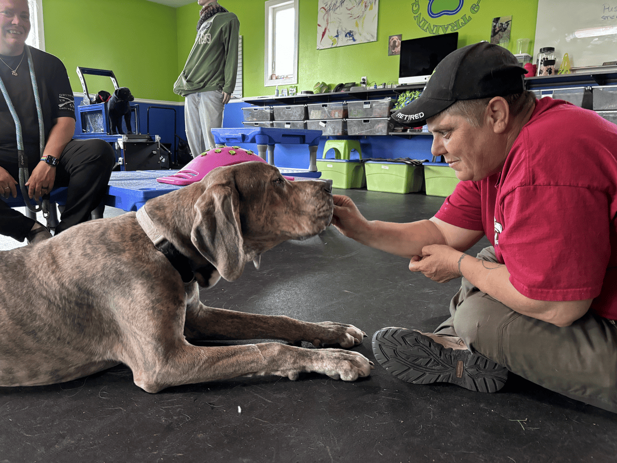 Trainer working closely with a dog seated on the floor